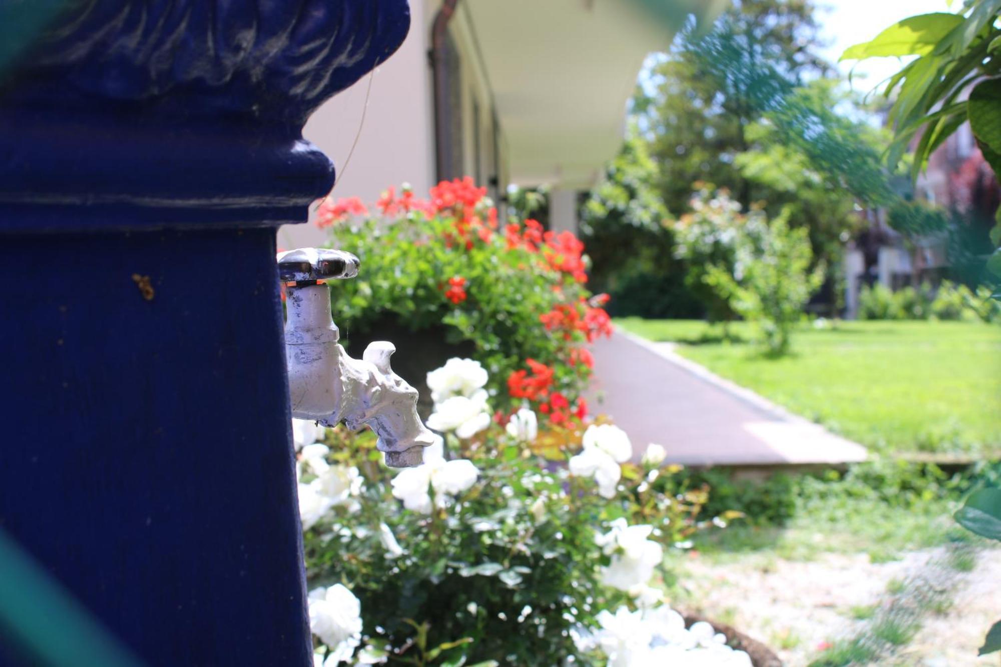 L'Alba Di Langa Hotel Narzole Kültér fotó